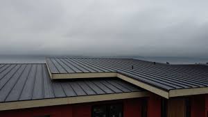 Best Steel Roofing  in Hobart, WA